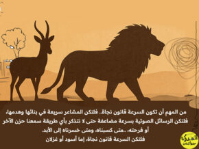 لسنا غزلانًا ولا أسودًا... فلماذا نركض؟